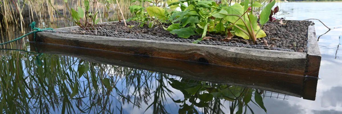 Pressmeddelande: Staden vid älven – barn och unga bygger hållbara lösningar at Youthbacka